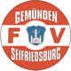 Fv-Gemuendenseifriedsburg